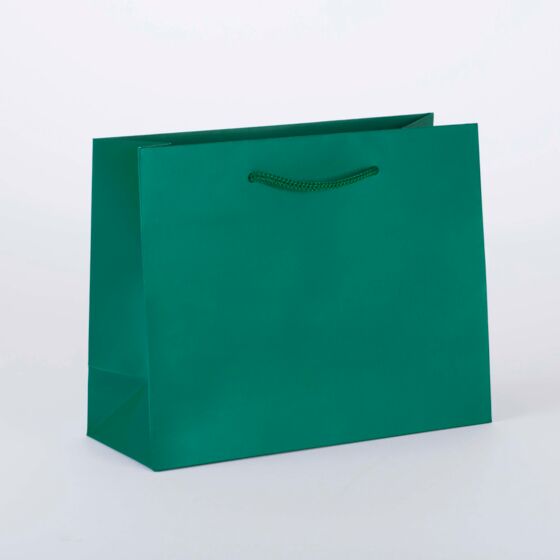 Messetaschen grün als exclusive Papiertragetasche bedruckbar