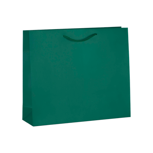 100 Messetaschen grün 25 10x20cm Papiertaschen bedrucken